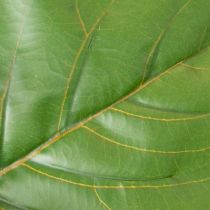 Article Ficus lyrata artificiel 120 cm décoratif pour salon