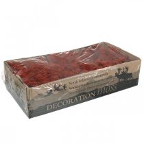 Article Mousse décorative rouge de Sienne mousse naturelle pour l'artisanat séchée et teinte 500g