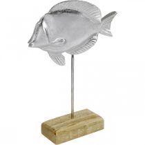 Poisson à poser, décoration maritime, poisson décoratif en métal argenté, couleurs naturelles H23cm