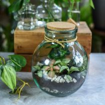 Set de jardin bouteille verre avec couvercle liège et outils Ø21cm H25cm