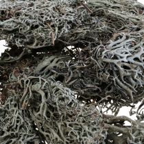 Article Lichen lichen mousse d&#39;arbre mousse décorative naturelle 1kg
