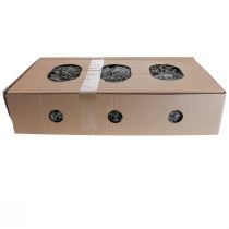Article Lichens, mousse de lichen, mousse d'arbre, mousse décorative, naturelle 1 kg