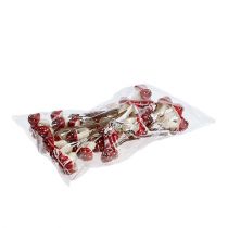 Article Amanite mouche sur fil 12 vols.