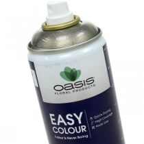 Spray Pailleté Silver Flitter Easy Color Color Spray 400ml