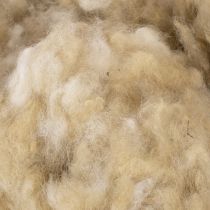 Article Laine de mouton beige naturelle, en vrac, pour les loisirs créatifs et la décoration, 250 g