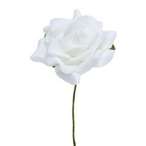 Article Rose mousse Ø 7.5cm blanc 18p