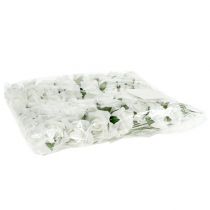 Article Rose en mousse Ø 3,5cm blanche 48 pcs
