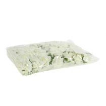 Article Mousse Rose Ø3,5cm Crème 48 pcs