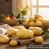 Article Mannequin de nourriture artificielle pomme de terre 12cm