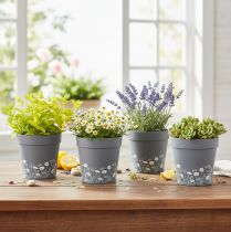 Article Pot de fleurs à motif floral pour une décoration intérieure moderne et un balcon estival, 13 cm, lot de 4