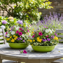 Article Plateau de plantation pour une décoration végétale attrayante dans le salon, 29 cm, lot de 2