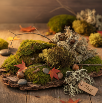 Article Mousse décorative pour loisirs créatifs, mélange de mousses naturelles vertes et vert clair, 75 g