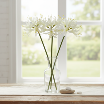 Article Nerine Guernsey Lily Fleur Artificielle Blanc Jaune Ø15cm L65cm