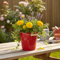 Article Seau/jardinière décoratif en métal rouge, Ø 22 cm, H 21,5 cm, 6 L