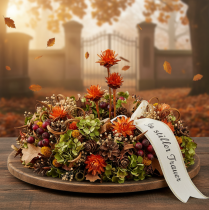 Article Protées séchées Fleurs Plumosum Orange 3-6cm 25 pcs