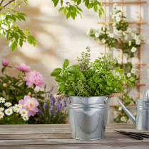 Article Pot de fleurs décoratif en métal avec anses en corde Ø20cm