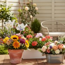 Article Tuteurs décoratifs en forme d'arrosoir pour bouquets de fleurs et décoration florale de balcon, 34 cm, lot de 12