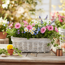 Article Jardinière en panier avec insert en aluminium, ovale, blanche, 37 cm