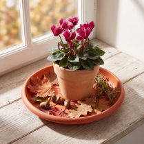 Article Sous-verre "Linda" Ø20cm terre cuite