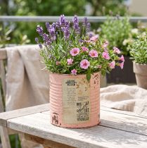 Article Pot de fleurs décoratif en métal saumon, décoration estivale Ø11cm H10.5cm