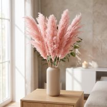 Article Herbe de la pampa séchée rose 65-75cm Décoration de fleurs séchées 6 pièces.