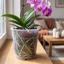 Article Pot de fleurs pour orchidées transparent Ø15cm 10pcs