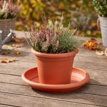 Article Dessous de verre « Linda » Ø30cm terre cuite