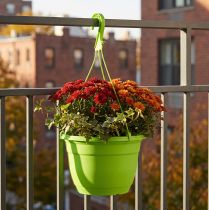 Article Panier suspendu 25cm vert