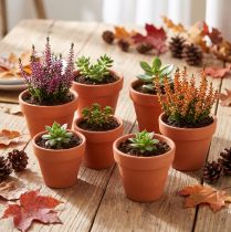 Article Pot de fleurs en terre cuite, Ø5 cm, hauteur 4 cm, lot de 10