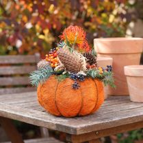 Article Pot de fleurs citrouille orange/jaune-vert en sisal Ø15cm H9cm