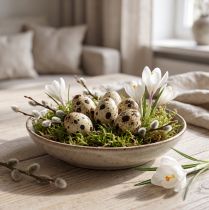 Article Œufs de caille décoratifs, vides, naturels, 50 pièces
