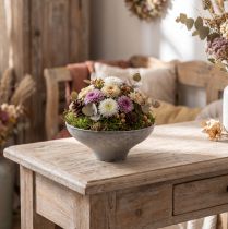 Article Bol décoratif avec base, bol à plantes rond, gris, Ø19cm, H8cm