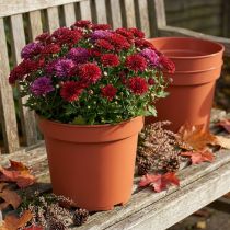 Article Cache-pot plastique Ø23cm 10pcs
