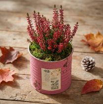 Article Pot de fleurs décoratif rond en métal violet de style vintage, Ø 8 cm, H 7,5 cm
