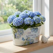 Article Bol à fleurs ovale hortensias bol en plastique 21,5×12,5cm H11cm