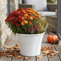 Article Pot plastique “Irys” blanc Ø29cm H24cm 1 pce
