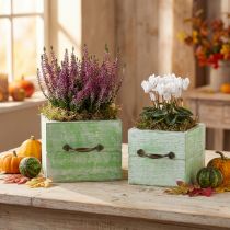 Article Jardinière tiroir en bois vert clair 15x15/12x12cm lot de 2