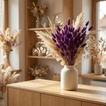 Article Violette veloutée, queue de lièvre, Lagurus L20-50cm 25g