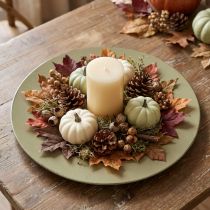 Article Assiette décorative en plastique vert vintage vert mousse marron Ø33cm
