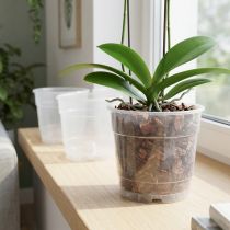 Article Pot pour orchidées Ø12cm transparent 10pcs