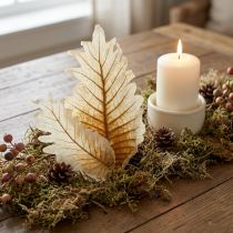 Article Feuille de Chêne blanchie 35 pcs