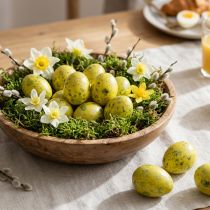 Article Oeuf de Caille 3cm Oeufs Soufflés Jaunes 50 pcs