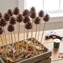Article Piquets jardin et bricolage Tuteurs Bois Nature 40cm 200pcs
