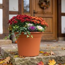 Article Pot « Irys » plastique terre cuite Ø43cm H35cm 1 pce