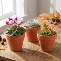 Article Pot de fleur en argile Ø6cm haut 5cm 10pcs