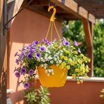 Article Panier suspendu 25cm jaune