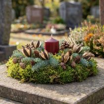 Article Lys sauvage Décoration naturelle Fleurs séchées exotiques 6-8 cm 50 pièces