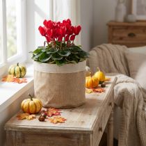 Article Panier de jardinière en jute, contenant de rangement en tissu naturel, Ø 26 cm H 21 cm, lot de 3
