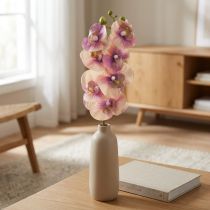 Article Orchidée Phalaenopsis artificielle 7 fleurs violet crème 73cm