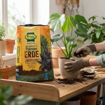 Article Terreau vert Frux pour plantes et palmiers avec engrais à libération lente 10 l